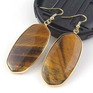 Elegant Gold and Brown Earrings
